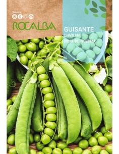 Graine de Pois doux de Provence (buisson bas) (250 gr)