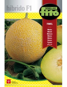 Graine de Melon Fimel F1 (hybride).