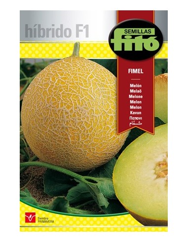 Semilla Melón Fimel F1 (híbrida)