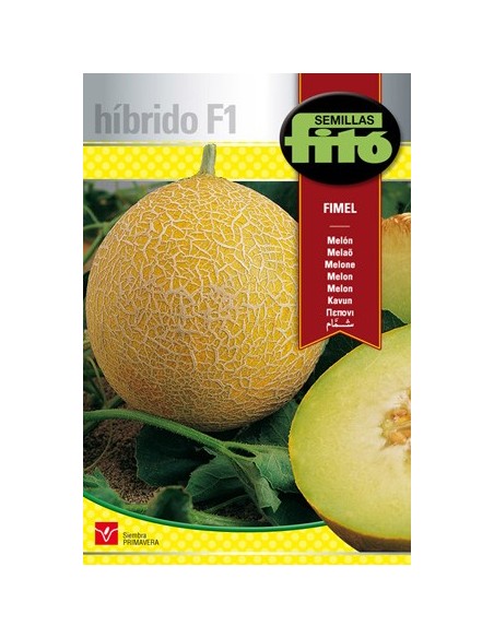 Semilla Melón Fimel F1 (híbrida)