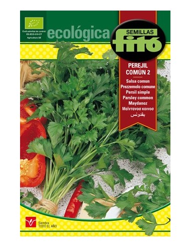 Semente de salsa comum (orgânica) em Germigarden