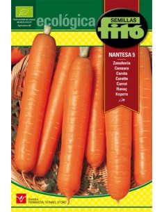 Graine de Carotte Biologique