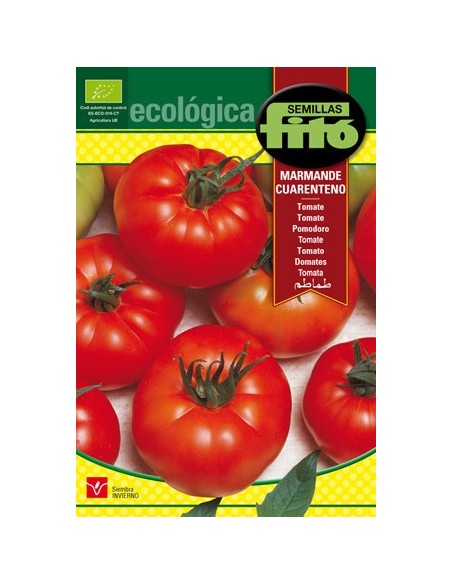 Semilla de tomate marmande ecologico