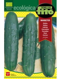 Semente de pepino orgânico em Germigarden