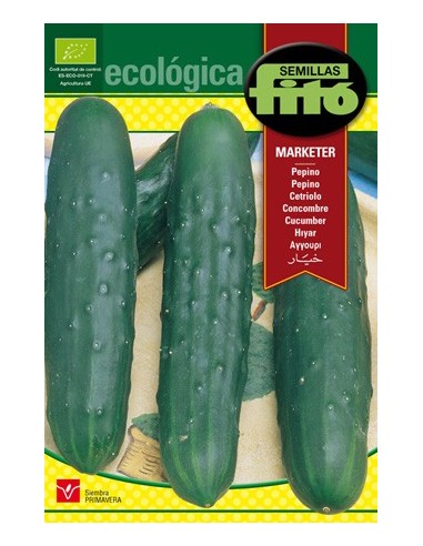 Graine de concombre vert biologique