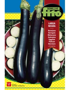 Graines pour aubergines longues