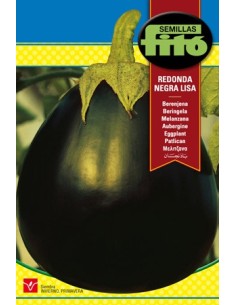 Compre Semente de berinjela preta lisa em Germigarden