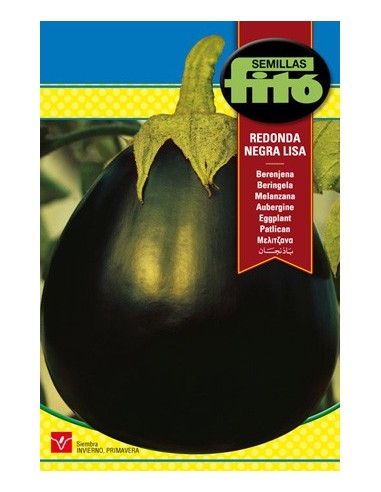 Berenjena redonda