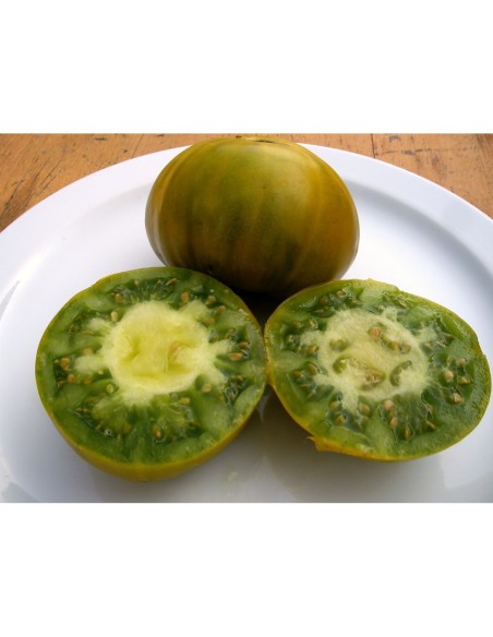 Graines de Tomate avoir Mala Cara (bio)