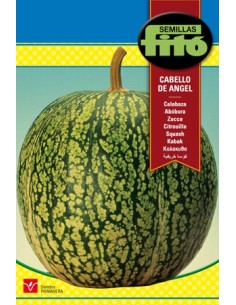 Semilla de calabaza de cabello de angel