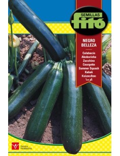 Semente de abobrinha preta Belleza em Germigarden