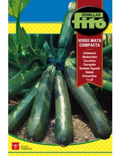 Planta de carbassó molt productiva