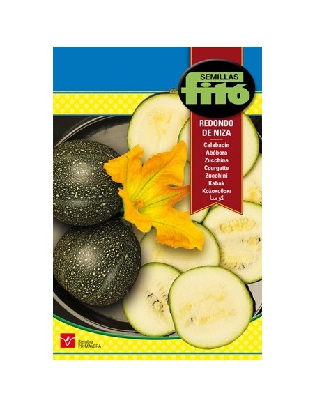 Courgettes rondes et savoureuses