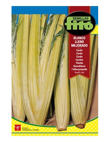 Semente de cardo branco em Germigarden