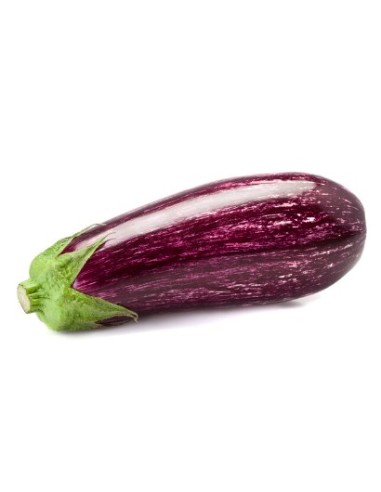 Semilla berenjena myrto F1 (híbrida) (1.000 semillas)