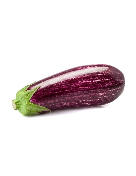 Graine d'aubergine myrto F1 (hybride) (1 000 graines)
