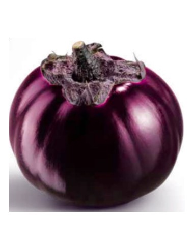 Graine d'aubergine Jessy F1 (hybride) (1 000 graines)