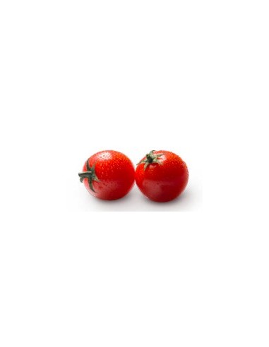 Llavor tomàquet Lazarino F1 (híbrida) (1.000 llavors)
