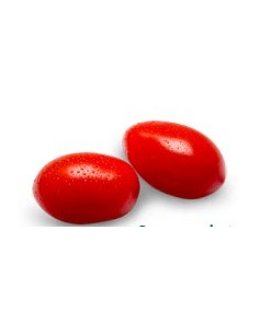 Semilla tomate Summerbrix F1 (híbrida) (1.000 semillas)