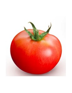 Semilla tomate Sardo F1 (híbrida) (1.000 semillas)