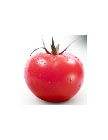 Graine tomate Manacor F1 (hybride) (1 000 graines)