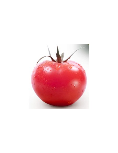Semilla tomate Manacor F1 (híbrida) (1.000 semillas)