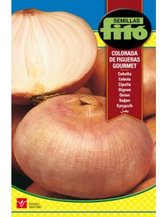 Semilla de cebolla Figueres rosada