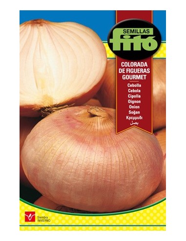 Semilla de cebolla Figueres rosada