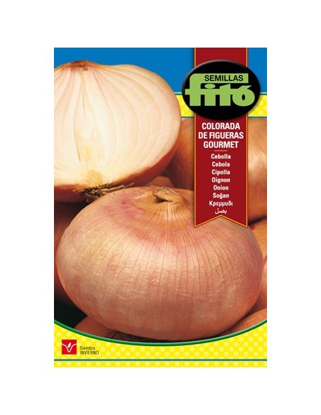 Semilla de cebolla Figueres rosada