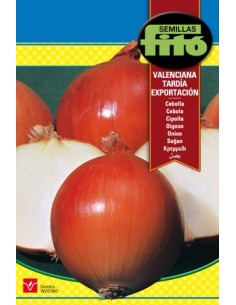 Semilla de cebolla de carne blanca de buena conservación