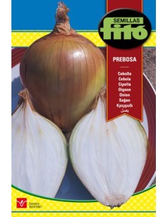 Semente de cebola babosa em Germigarden