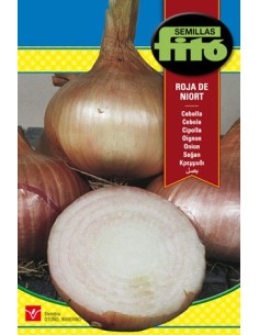 Semilla de cebolla morada