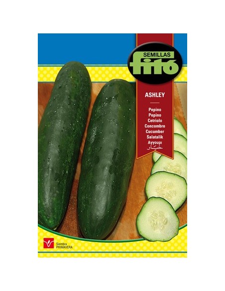 Semilla de pepino resistente