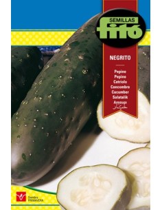 Semente de pepino negrito em Germigarden