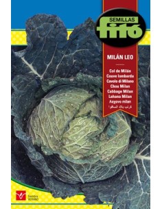 Semilla de col mediana, verde y compacta