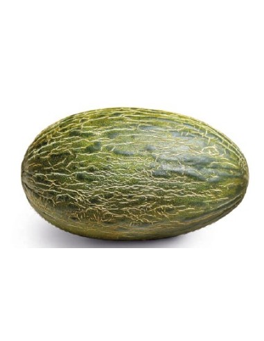 Semilla melón Garceran F1 (híbrida) (1.000 semillas)