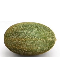 Semilla melón Futuro F1 (híbrida) (1.000 semillas)