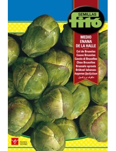 Semente de couve-de-bruxelas anã em Germigarden