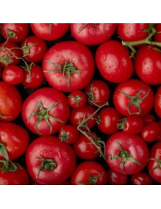 Graines de tomate Haritza (tradicionnel basque)