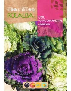 Llavor col ornamental variada