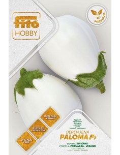 Semente de beringela Paloma F1 (híbrida) (1.000 sementes)
