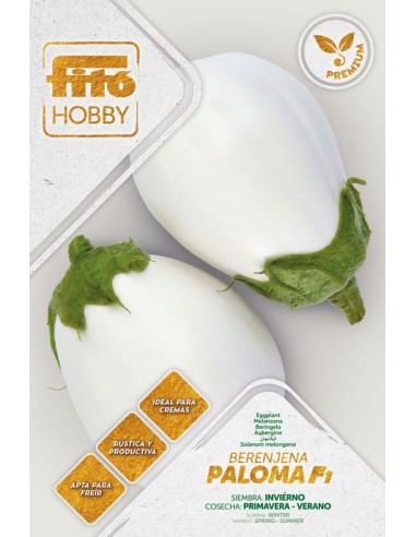 Graine d'aubergine Paloma F1 (hybride) (1 000 graines)
