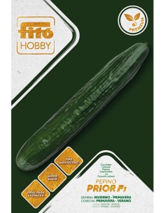 Graine Poivre Beautiful  F1 (hybride) (1 000 graines)