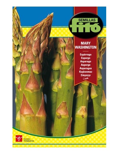 Semilla Espárrago Mary Washington