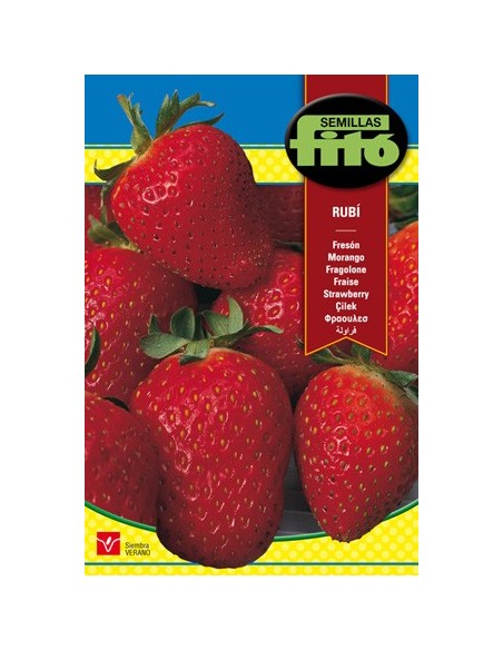 Compre semente de morango Alexandria em Germigarden