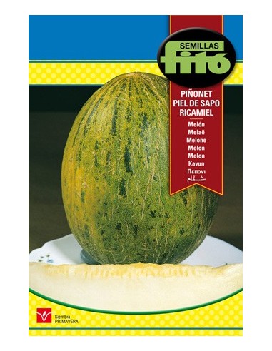 Semilla de melón verde piel de sapo