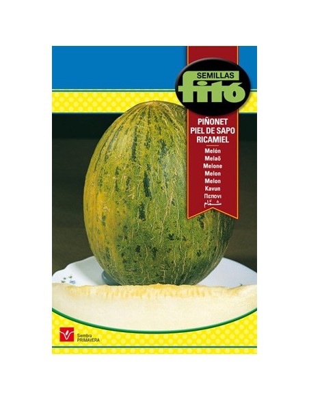 Semilla de melón verde piel de sapo