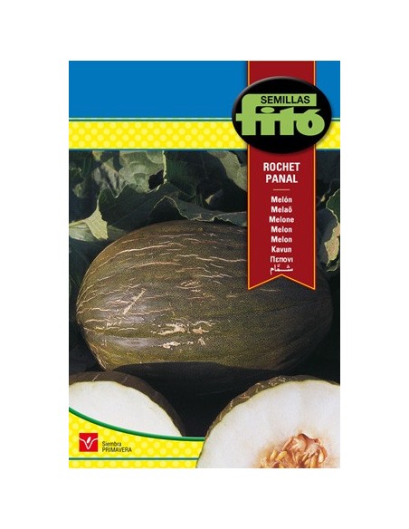 Graine de melon vert moucheté, très sucrée