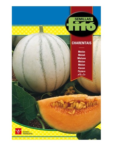 Graine de melon français de couleur saumon très parfumée