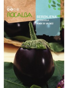 Semente de beringela branco White egg
